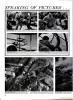 "Baptism by Fire," a German War Movie, Page 2
